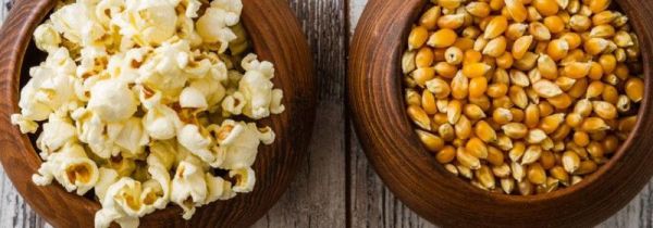 爆米花用什么玉米