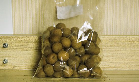 龙眼和桂圆的区别