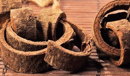 肉桂可以炖肉吗