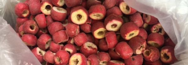 山楂干会过期吗