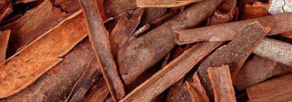 肉桂可以打粉服用吗