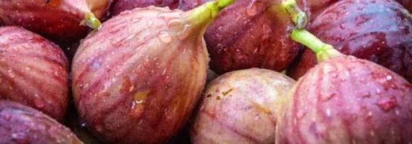 红皮无花果怎么吃