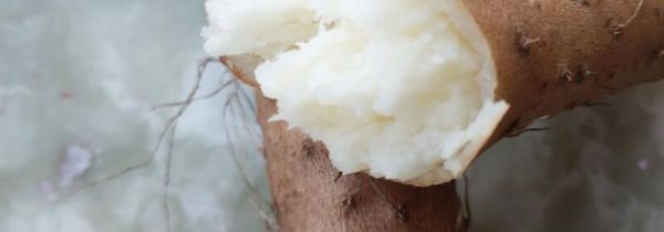 山药和木耳能一起吃吗