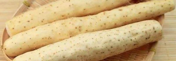 山药可以烤着吃吗