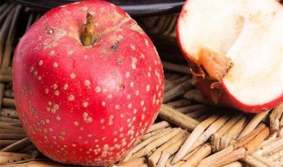 山楂柿子可以一起吃吗