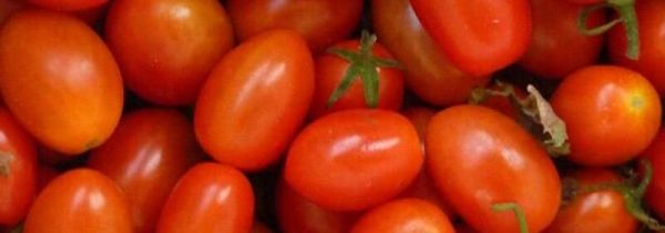 小柿子和梨可以一起吃吗?