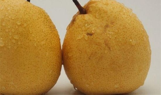 小柿子和梨可以一起吃吗?