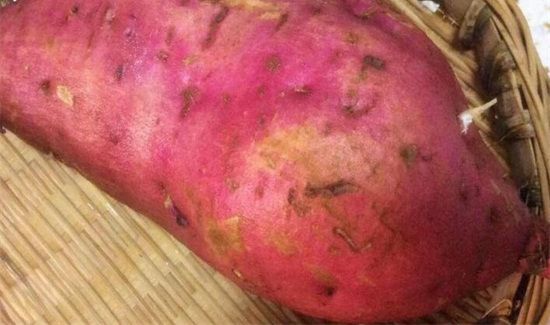 晚上可以吃红薯吗