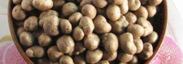 山药豆跟什么相克