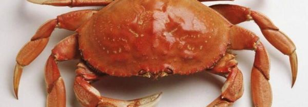 晚上吃螃蟹有什么坏处
