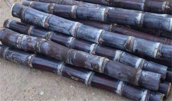 晚上吃甘蔗会发胖吗