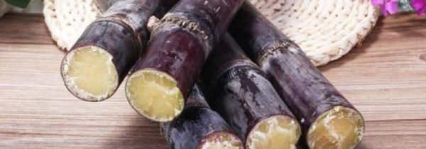 晚上吃甘蔗会发胖吗