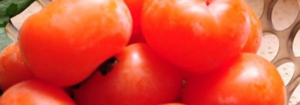 晚上吃柿子有什么危害