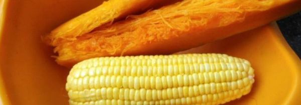 南瓜和玉米能一起吃吗
