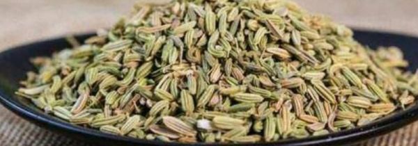 茴香籽怎么吃