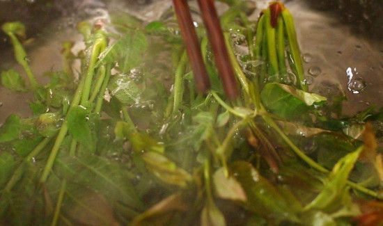 香椿煎蛋香椿要焯水吗