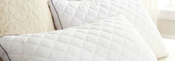 枕头芯有霉点用什么可以洗掉