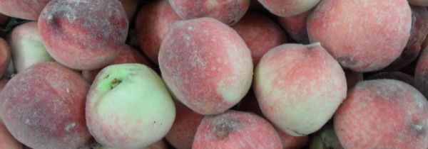 毛桃可以连皮一起吃吗