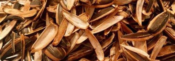 瓜子壳属于干垃圾还是湿垃圾