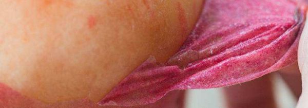 桃子快速去皮法小窍门