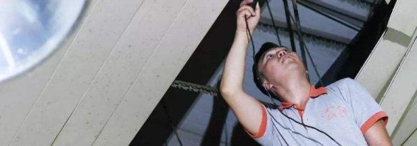 天花板上有老鼠怎么办