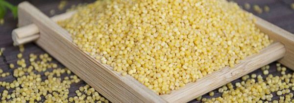 小米潮了怎么办