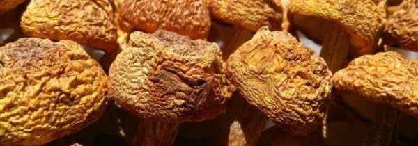 干货潮了怎么办