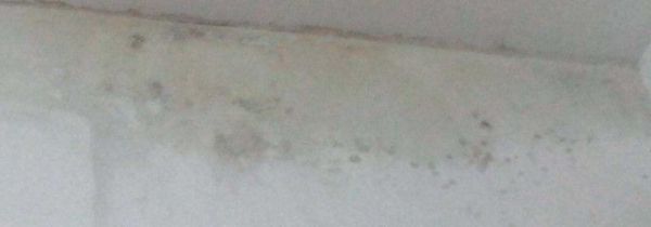 浴室长黑霉了怎么办