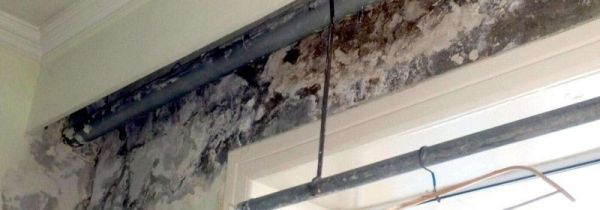 墙上发黑霉怎么办