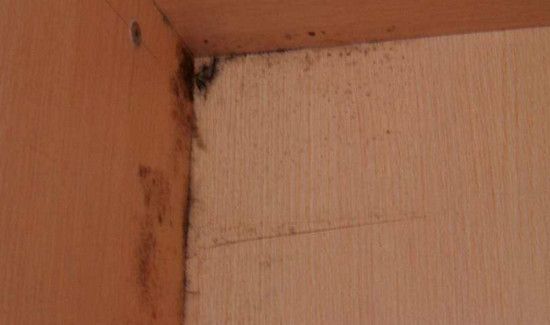 寝室柜子发霉怎么办