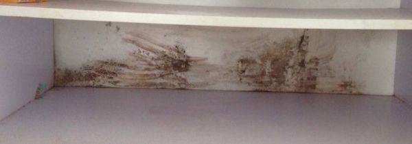 寝室柜子发霉怎么办