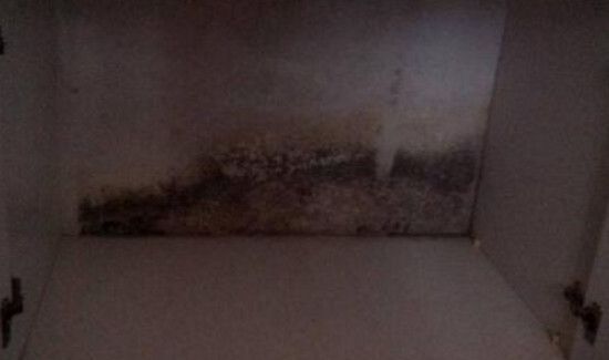 寝室柜子发霉怎么办