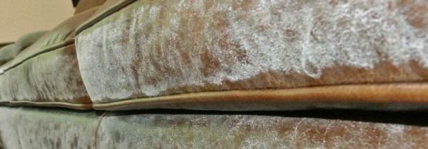 沙发发黑霉怎么办