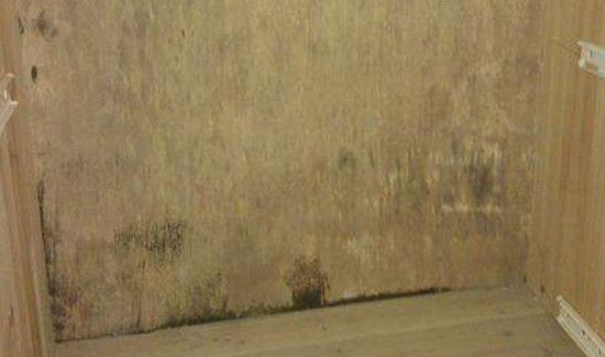 太潮湿柜子发霉怎么办