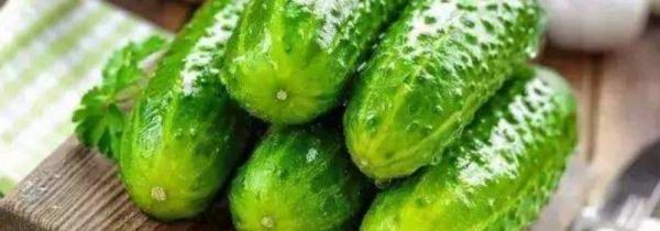 黄瓜太多吃不完怎么办