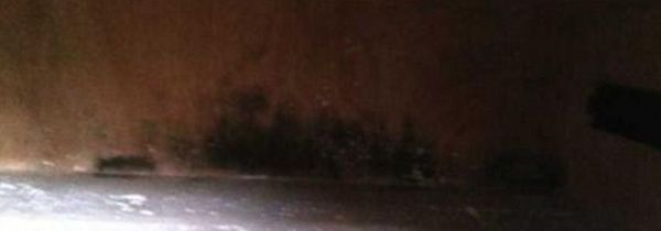 夏天柜子发霉怎么办