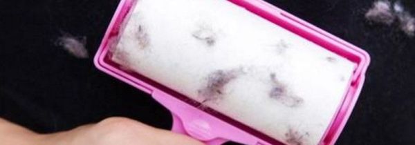 衣服粘毛了要怎么去掉