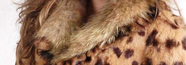 兔毛衣服可以晒吗