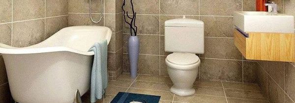 厕所除味放什么东西