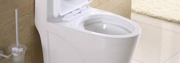 马桶被纸堵了多久会烂