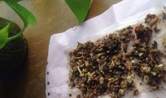 中药渣怎么处理