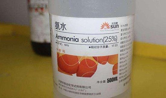 霉点点怎么去除