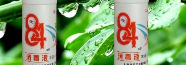 室内有蟑螂消毒用什么消毒液