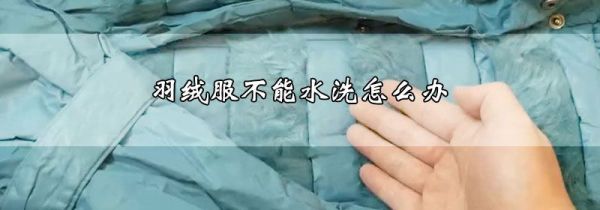 羽绒服不能水洗怎么办