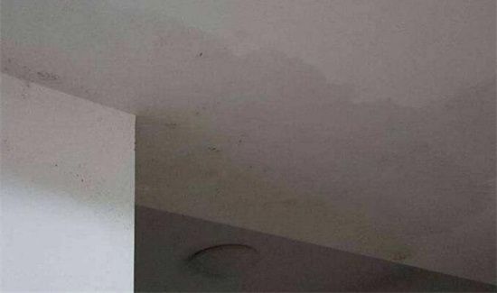 楼上漏水,在楼下能补吗