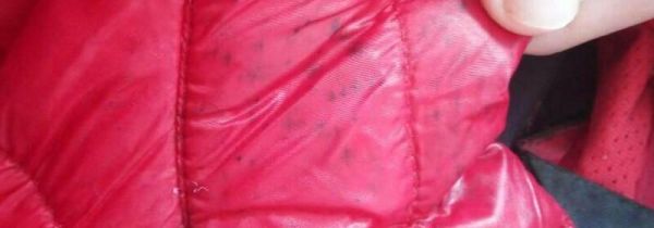 衣服发霉了,怎样可以去掉