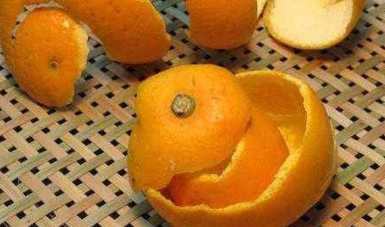 厨房窗台上有蚂蚁用什么能避免