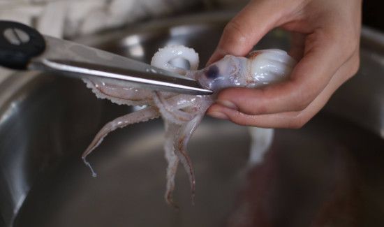 怎么处理鱿鱼