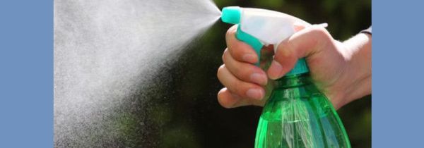 黄豆水臭味怎么去除