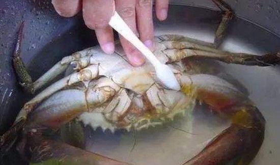 三门青蟹怎么保存不会死